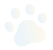 paw-image